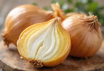 Qepë e kuqe e plotë dhe e prerë në feta mbi sipërfaqe rustike